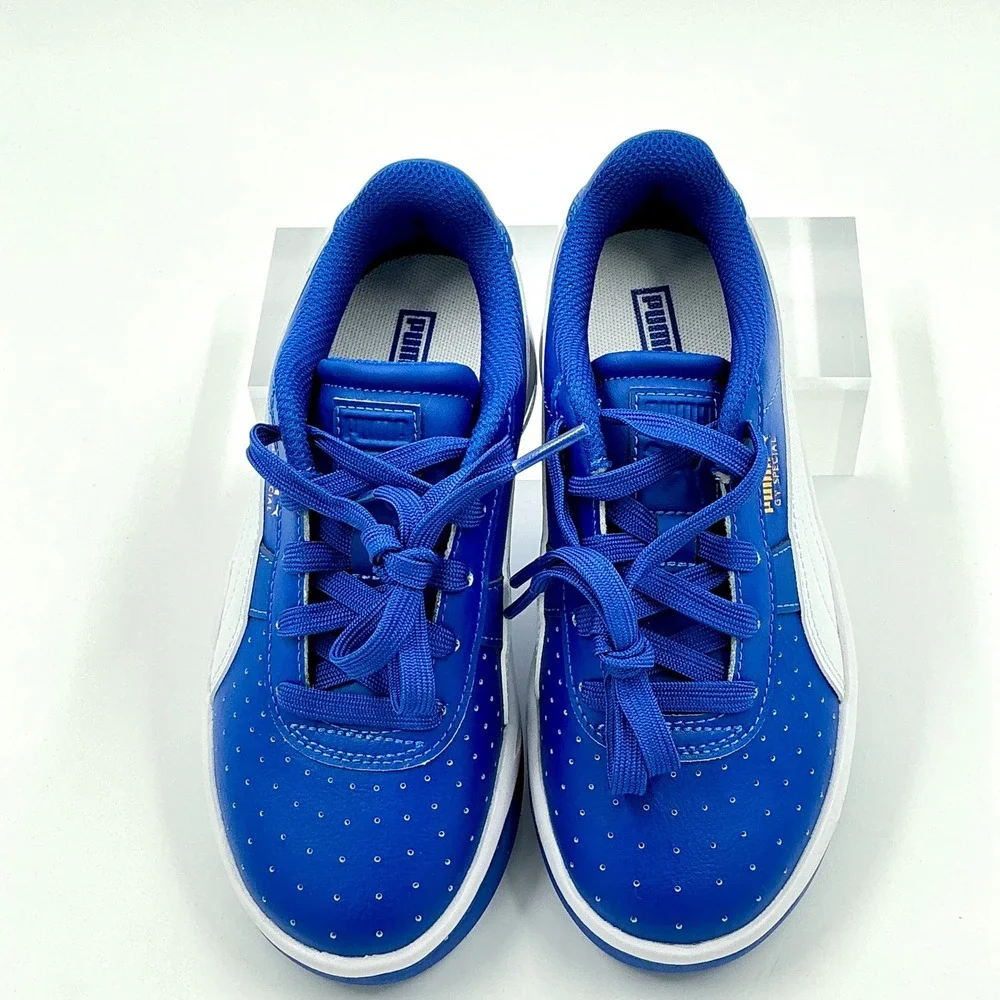 Puma brand model